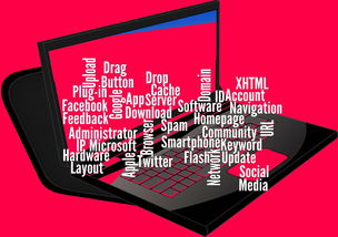 leyu平台-CBA开展球员社交媒体管理课程提高职业素养，运动员社交媒体